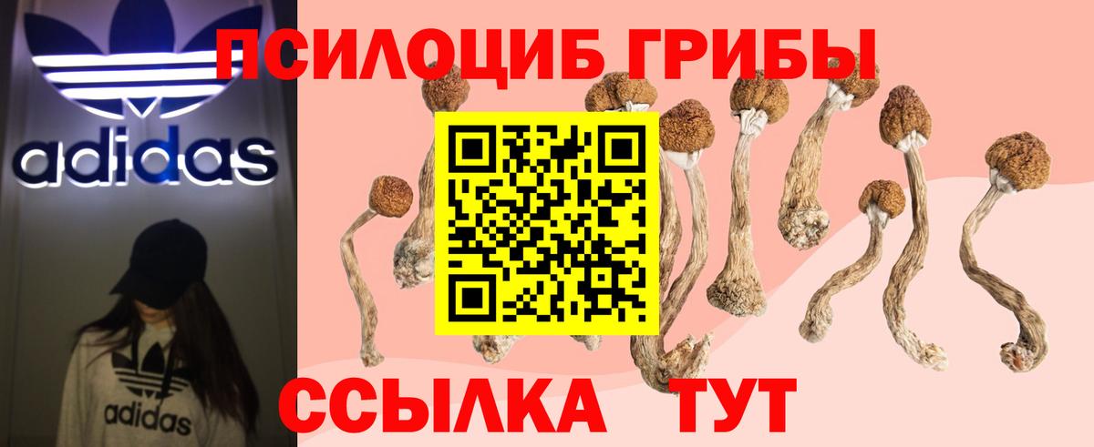 Галлюциногенные грибы прущие грибы  купить   Казань  Вход с VPN 